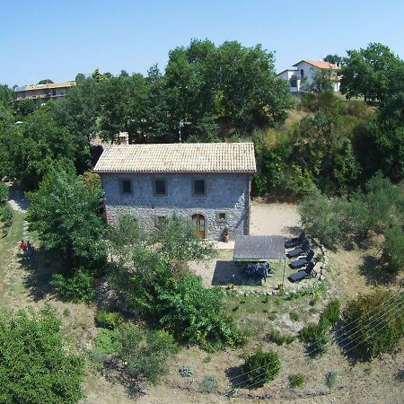 Fattoria Capobianco Villa Montefiascone Exterior photo